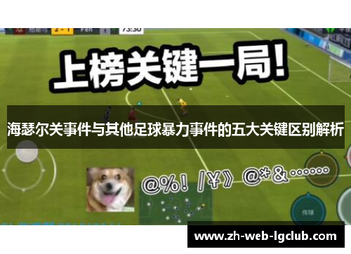 海瑟尔关事件与其他足球暴力事件的五大关键区别解析